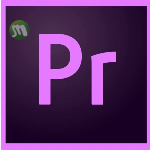 Adobe Premiere Pro CC 2019 ถาวร 13.1.0.193 Full Crack Full Version Thailand