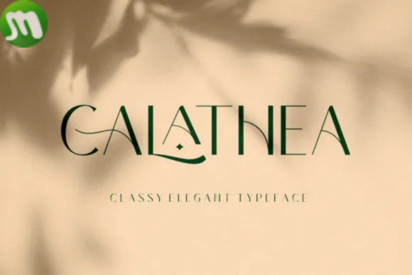 Calathea Font Thai