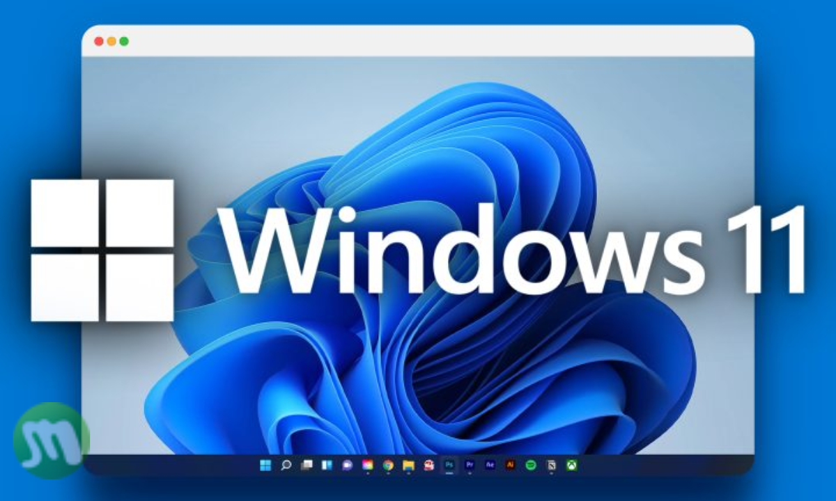 Windows 11 license
