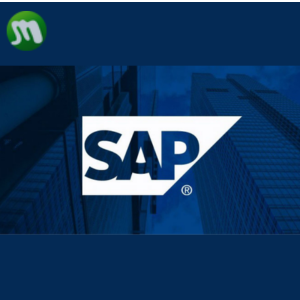 ซอฟต์แวร์ SAP