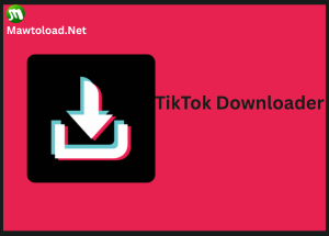 TikTok Downloader