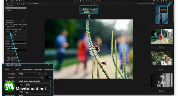 Capture One Pro Download