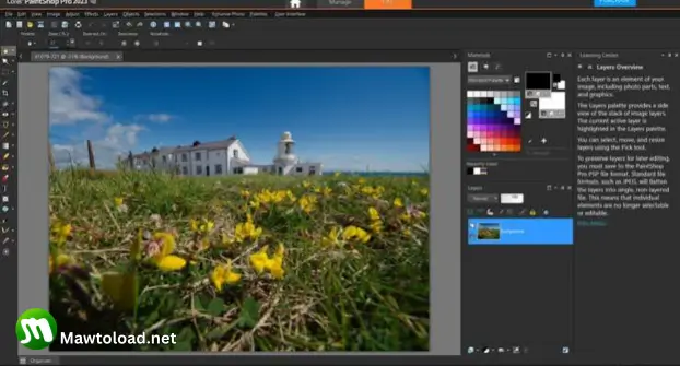 Corel PaintShop Pro Download Corel PaintShop Pro Download
