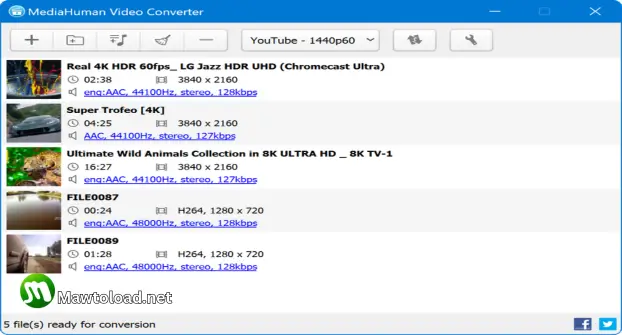 MediaHuman Video Converter Download