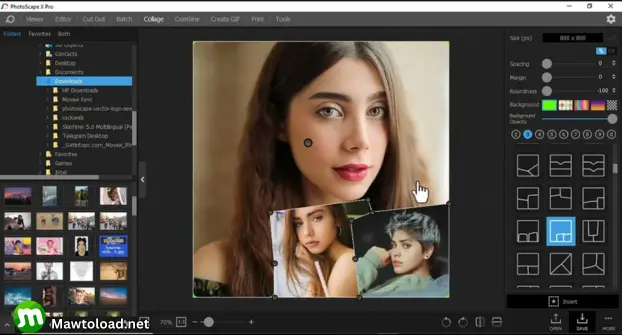 PhotoScape X Pro Download